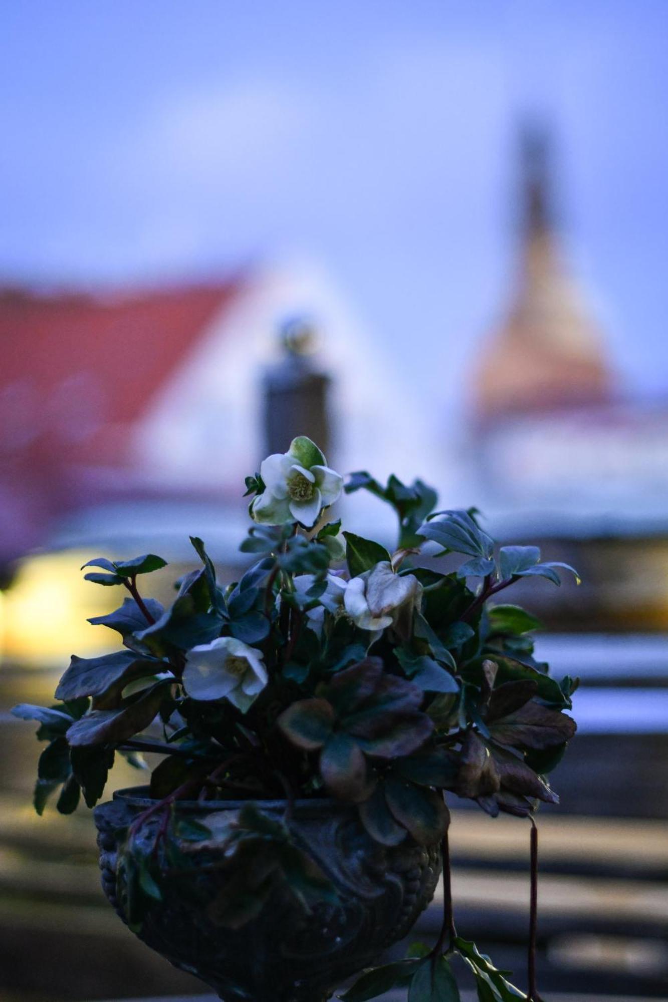 Prins Carl Ystad Buitenkant foto